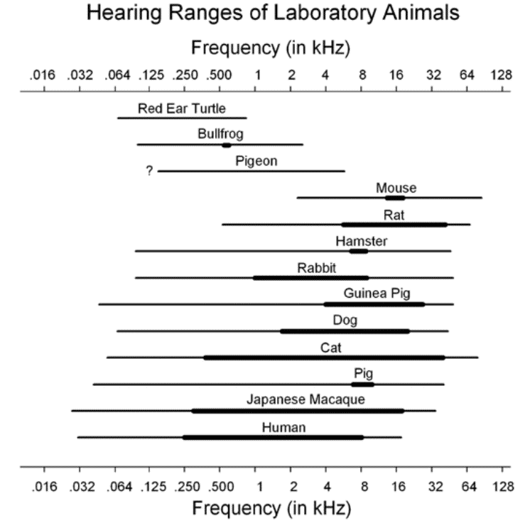 Comparing the audiograms of different animals to help find out if hamsters are sensitive to sound