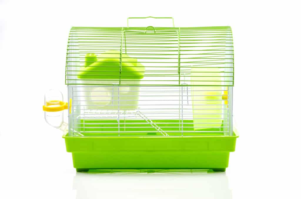 A hamster cage, for the blog post, do hamsters smell bad
