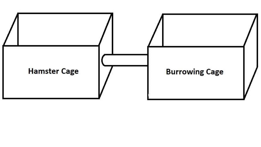 An illustration depicting a hamster cage connecting to a burrowing cage