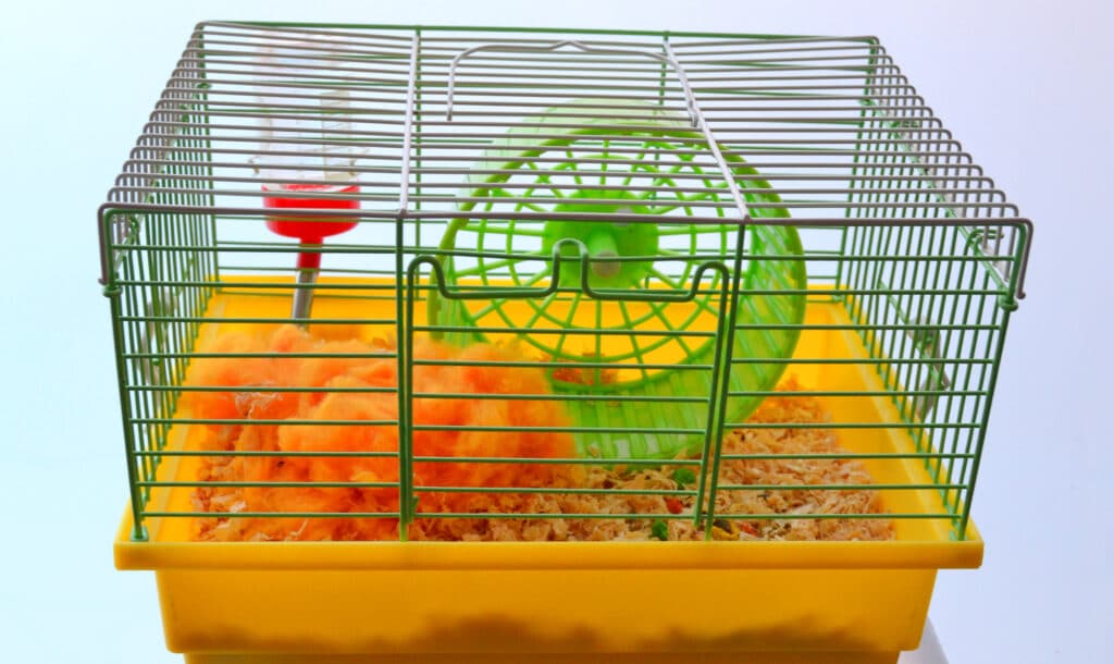 A very small hamster cage